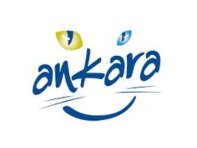 Ankara